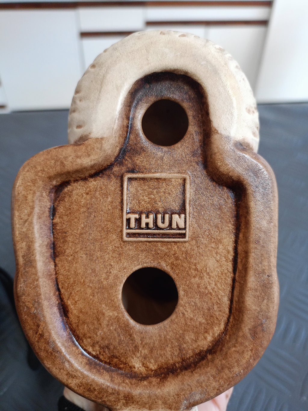 Coniglio Thun