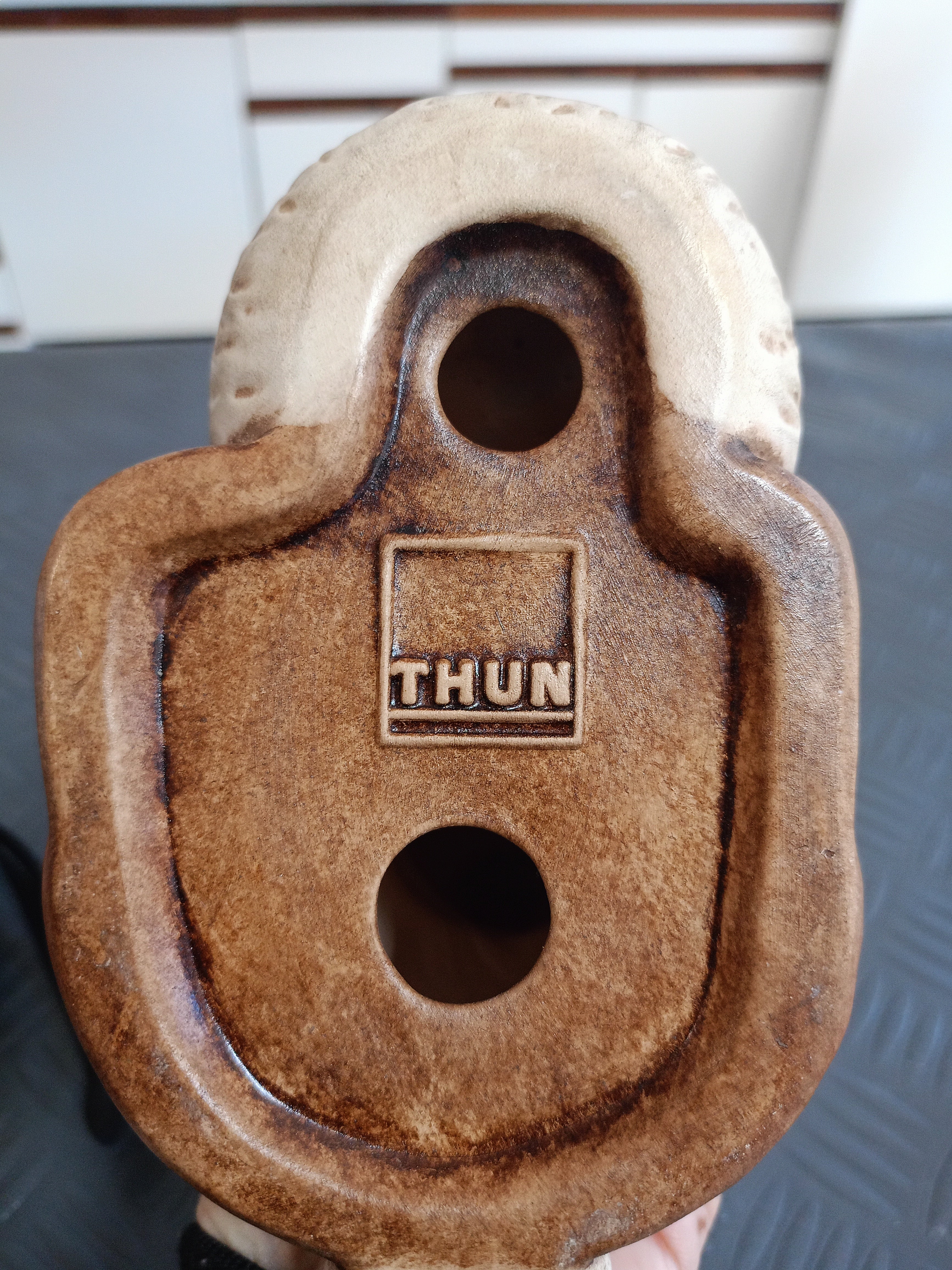 Coniglio Thun
