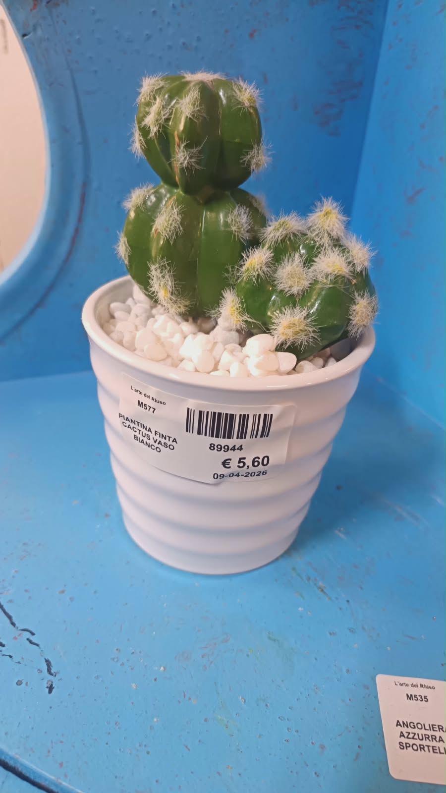 Cactus - piantina finta, vaso bianco