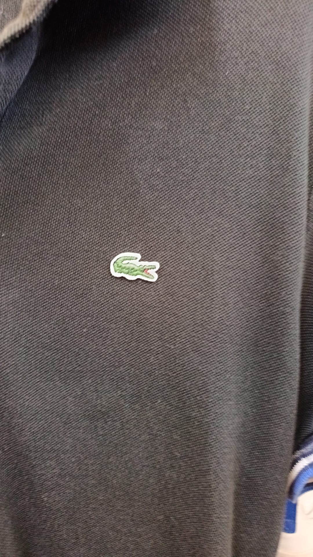 Polo Lacoste - taglia M