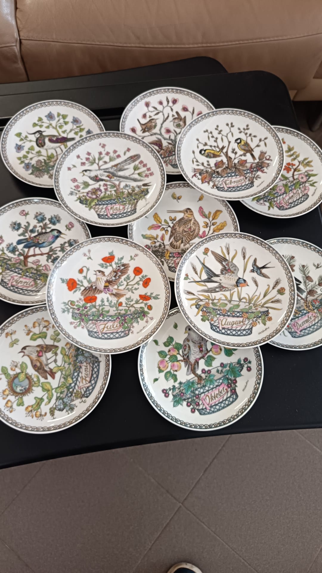 Set 12 piatti decorativi